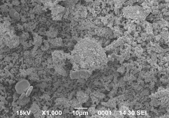 SEM micrograph showing porous crystalline active material structure